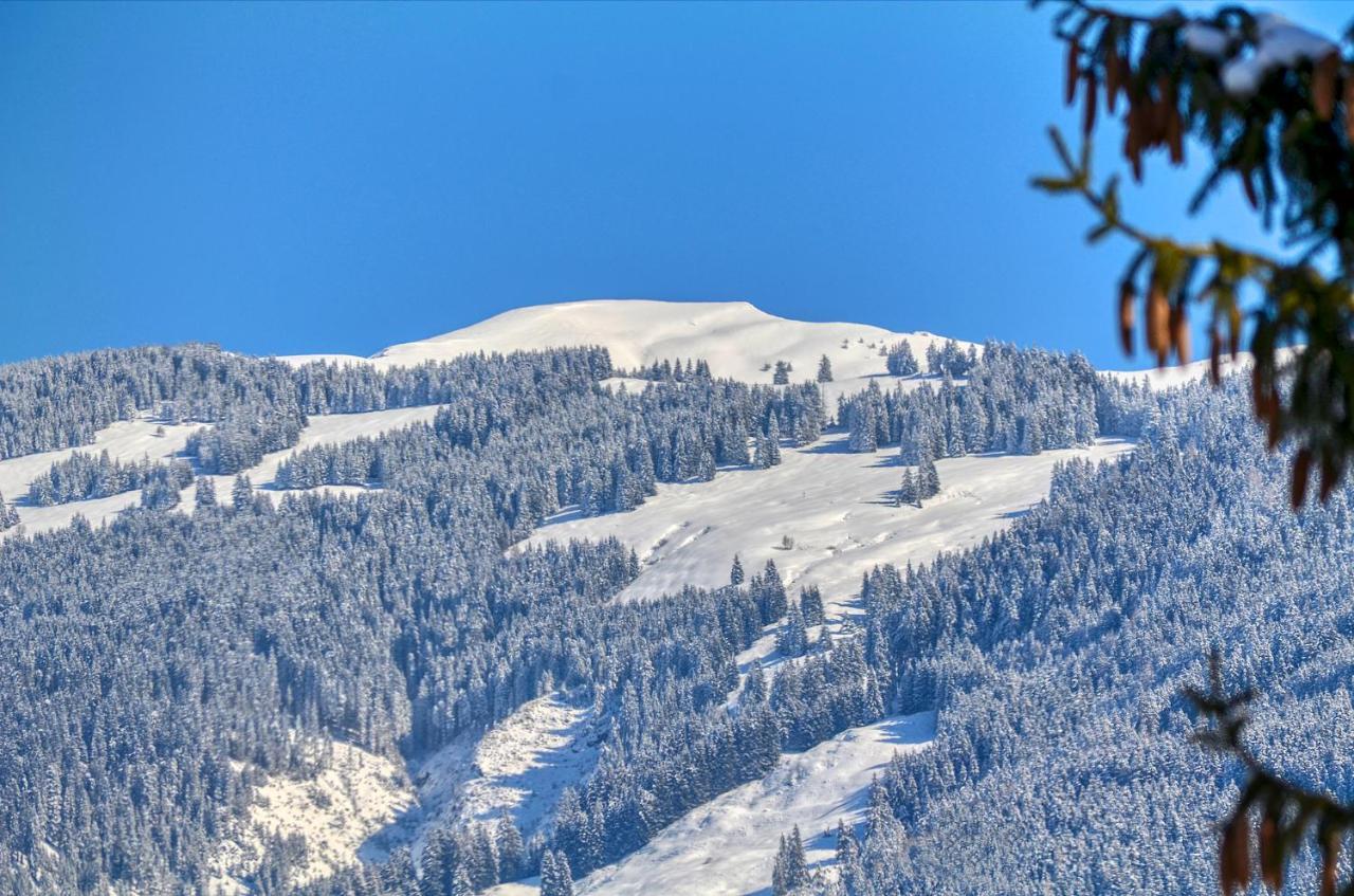 Apartment Snowmountain - By Alpen Apartments Zell am See Buitenkant foto